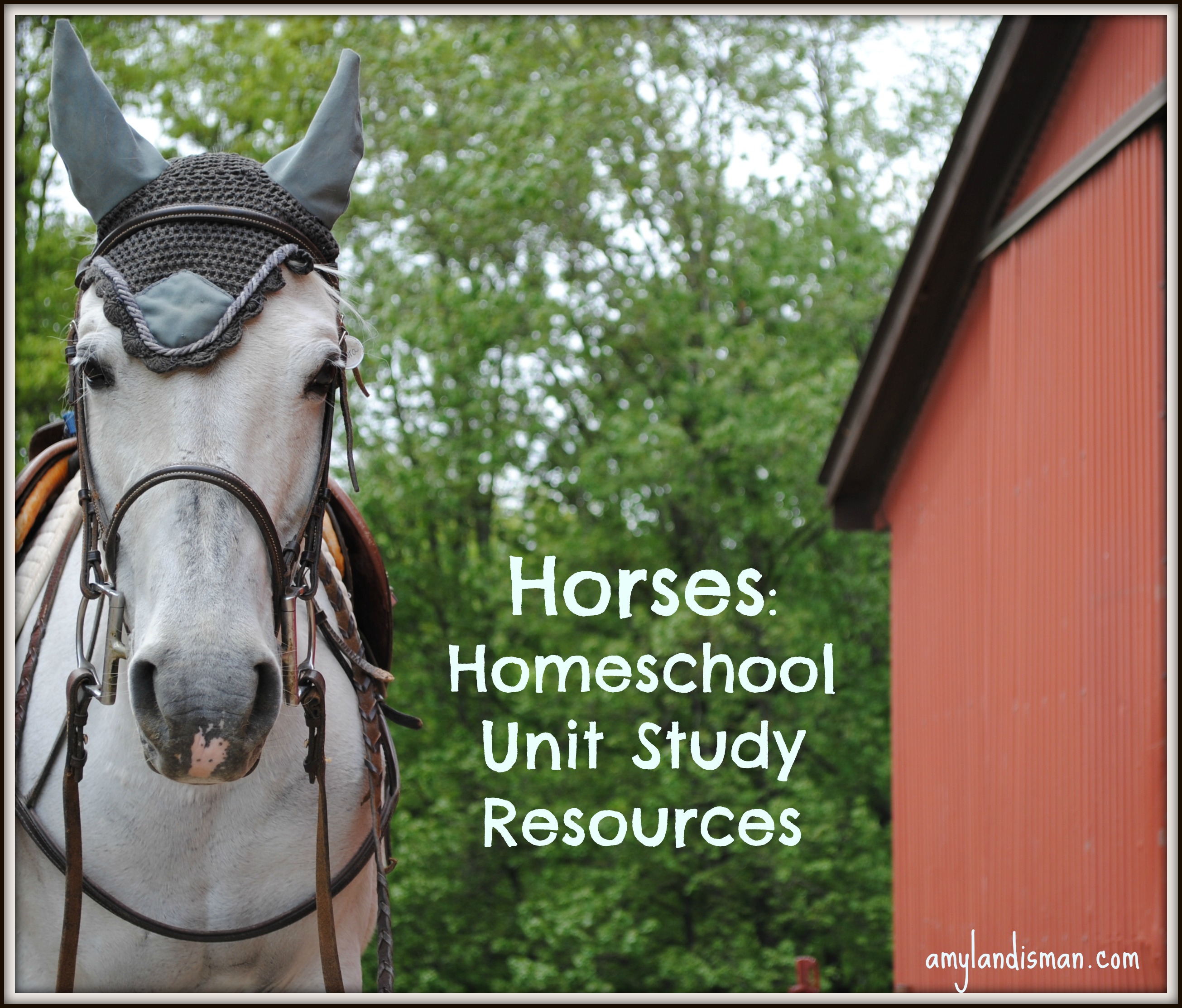 Learning About Horses – Homeschool Study Resources